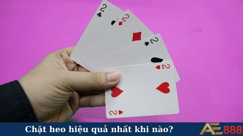 Chặt heo hiệu quả nhất khi nào?