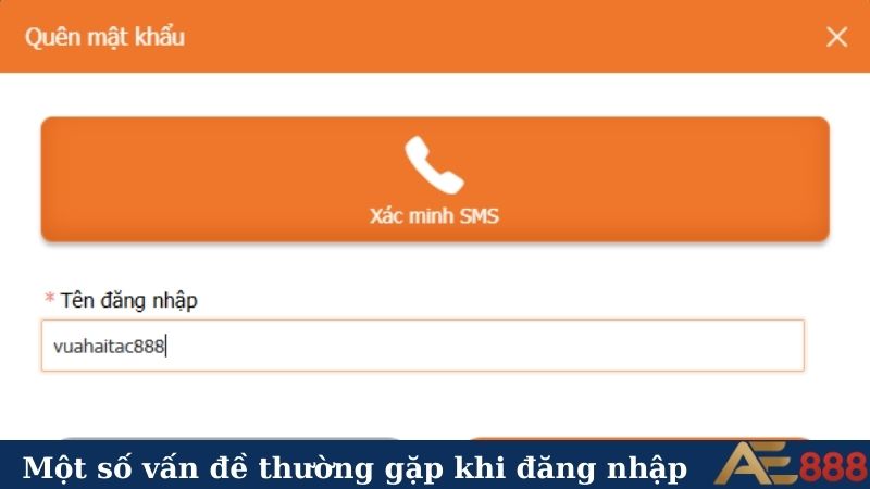 Một số vấn đề thường gặp khi đăng nhập