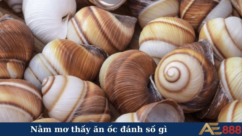 Nằm mơ thấy ăn ốc báo hiệu điều gì?