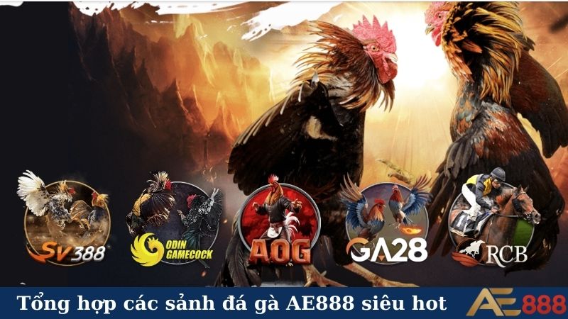 Tổng hợp các sảnh đá gà AE888 siêu hot