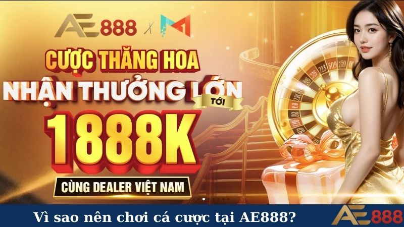 Vì sao nên chơi cá cược tại AE888?