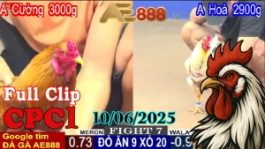 Full Video Clip Đá Gà Trực Tiếp C1 Ngày 10/06/2025