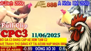 Full Video Clip Đá Gà Thomo C3 Ngày 11/06/2025