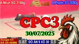 Phát Lại Toàn Bộ Đá Gà Thomo Đấu Trường C3 Ngày 30/07/2025
