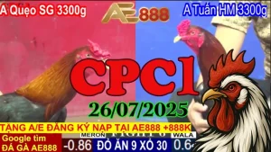 Phát Lại Đá Gà Trực Tiếp Thomo C1 Ngày 26/07/2025