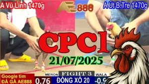 Xem Lại Đá Gà Thomo Hôm Nay C1 Ngày 21/07/2025