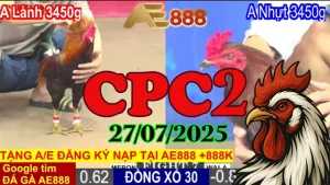 Full Video Clip Đá Gà Trực Tiếp Thomo C2 Hôm Nay 27/07/2025