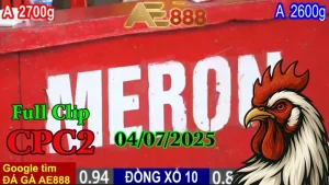 Full Clip Đá Gà Trực Tiếp C2 Ngày 04/07/2025