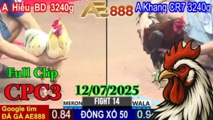 Tổng Hợp Highlight Clip Đá Gà Trực Tiếp C3 Ngày 12/07/2025