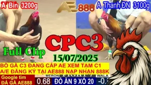 Đá Gà Trực Tiếp Thomo Phát Lại Hôm Nay C3 Ngày 15/07/2025