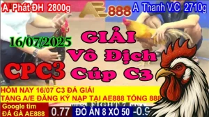 Đá Gà Giải C3 Hôm Nay Ngày 16/07/2025