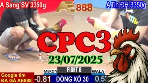 Full Video Đá Gà C3 Thomo Hôm Nay Ngày 23/07/2025