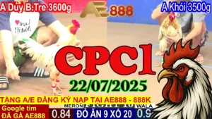 Phát Lại Đá Gà C1 Trực Tiếp Thomo Hôm Nay Ngày 22/07/2025
