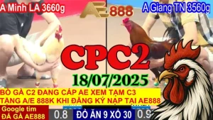 Phát Lại Đá Gà Trực Tiếp C2 Thomo Hôm Nay Ngày 18/07/2025 - Tại ĐÁ GÀ AE888 HAEMET