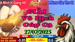 Tổng Hợp Clip Gà Đá Giải Vô Địch Cúp C3 Hôm Nay 27/07/2025