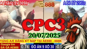 Video Đá Gà Thomo Hôm Nay C3 Ngày 20/07/2025