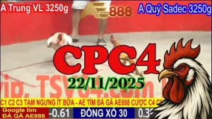 Clip Đá Gà CPC4 22112025 Phát Lại – Xem Nhanh Trận Hot Hôm Nay