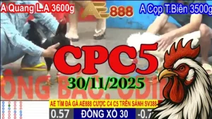 Clip trực tiếp đá gà Thomo CPC5 hôm nay 30112025 – Tổng hợp trận đấu