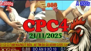 Full HD phát lại trực tiếp đá gà Thomo CPC4 21112025