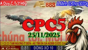 Full Video Đá Gà Trực Tiếp CPC5 25112025 – Đại Chiến Kịch Tính