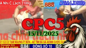 Tổng Hợp Trực Tiếp Đá Gà Thomo CPC5 Hôm Nay 15112025