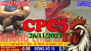Trận Hot Video Đá Gà Trực Tiếp CPC5 Hôm Nay 26112025