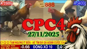 Video Đá Gà Trực Tuyến CPC4 Hôm Nay 27112025 Nhanh Nhất