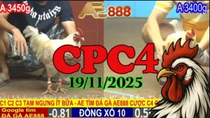 Video phát lại đá gà trực tiếp CPC4 Thomo hôm nay 19112025 online