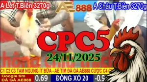 Video phát lại đá gà trực tiếp Thomo CPC5 hôm nay 24112025 chuẩn HD