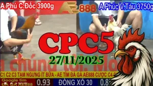 Xem Lại Clip Đá Gà Trực Tiếp CPC5 Ngày 27112025