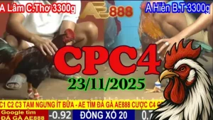 Xem đá gà trực tiếp CPC4 hôm nay 23112025 miễn phí