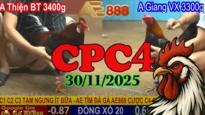 Xem video clip đá gà Thomo CPC4 30112025 – Trận đấu đỉnh cao