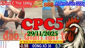 Xem video đá gà Thomo CPC5 hôm nay 29112025 - Trực tiếp, không bỏ lỡ
