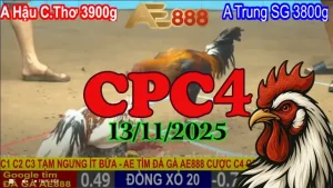 Clip Tổng Hợp Đá Gà Trực Tiếp CPC4 13/11/2025