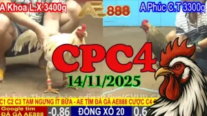 Clip Phát Lại Đá Gà Thomo CPC4 Hôm Nay 14/11/2025 Full HD