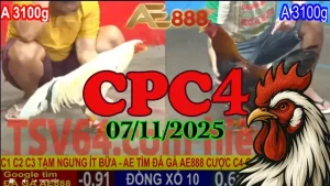 Xem lại đá gà Thomo CPC4 07/11/2025 - Đấu trường căng thẳng nhất