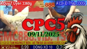 Xem Lại Trực Tiếp Đá Gà Thomo CPC5 Ngày 09/11/2025