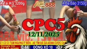 Full Replay Xem Lại Đá Gà Trực Tiếp CPC5 Thomo 12/11/2025