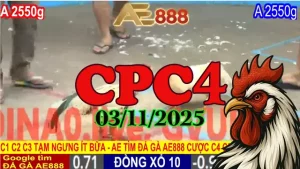 Phát Lại Toàn Bộ Đá Gà Thomo Đấu Trường C4 Ngày 03/11/2025