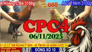 Video đá gà Thomo CPC 4 hôm nay 06/11/2025 chất lượng cao