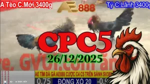Clip Đá Gà Thomo CPC5 Hôm Nay 26122025 Full Trận