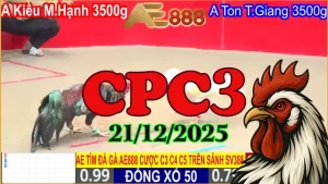 Clip gà đá CPC3 trực tiếp hôm nay 21122025