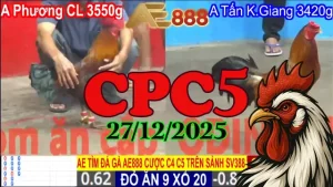 Clip trực tiếp đá gà CPC5 27122025 mới trong ngày
