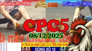 Clip trực tiếp đá gà CPC5 ngày 08122025 full HD