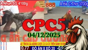 Clip trực tiếp đá gà thomo CPC5 phát lại 04122025 cực mãn nhãn