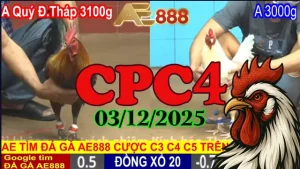 Đá gà thomo CPC4 hôm nay 03122025 Phát lại trận chiến đỉnh cao