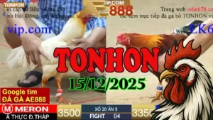 Video đá gà Tonhon phát lại trực tiếp 15/12/2025