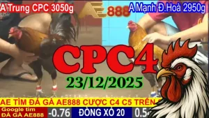 Link Phát Lại Đá Gà Thomo CPC4 Ngày 23122025