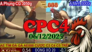 Link đá gà CPC4 phát lại hôm nay 06122025 full HD
