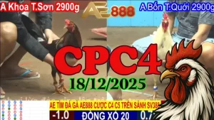 Tổng Hợp Full Clip Trực Tiếp Đá Gà CPC4 18122025